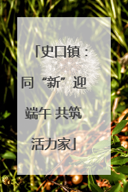 史口镇：同“新”迎端午 共筑活力家