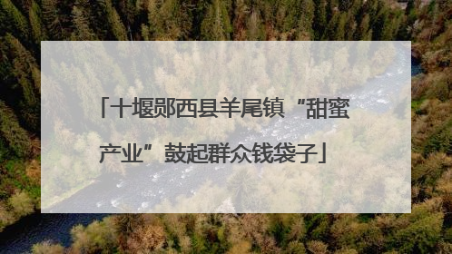 十堰郧西县羊尾镇“甜蜜产业”鼓起群众钱袋子