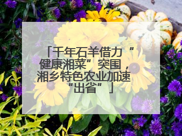 千年石羊借力“健康湘菜”突围，湘乡特色农业加速“出省”