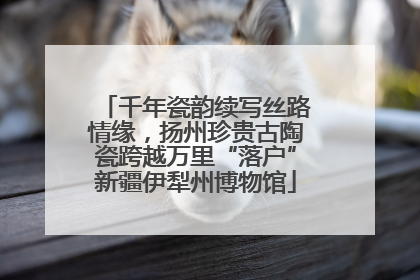 千年瓷韵续写丝路情缘，扬州珍贵古陶瓷跨越万里“落户”新疆伊犁州博物馆