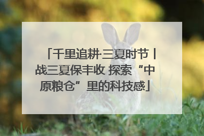 千里追耕·三夏时节丨战三夏保丰收 探索“中原粮仓”里的科技感