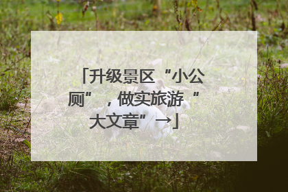升级景区“小公厕”，做实旅游“大文章”→