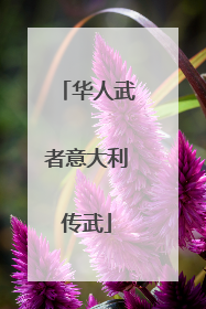华人武者意大利传武