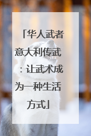 华人武者意大利传武：让武术成为一种生活方式