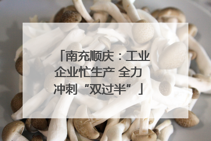 南充顺庆：工业企业忙生产 全力冲刺“双过半”