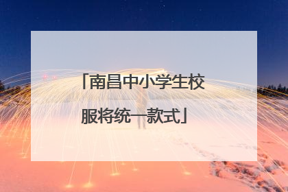 南昌中小学生校服将统一款式