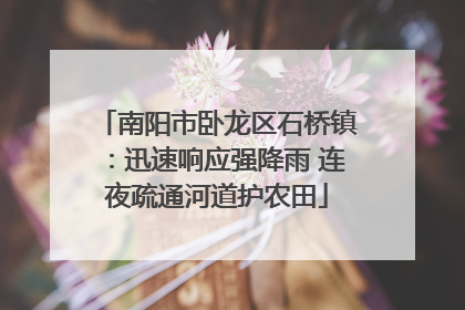 南阳市卧龙区石桥镇：迅速响应强降雨 连夜疏通河道护农田