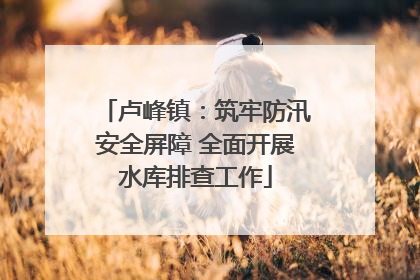 卢峰镇：筑牢防汛安全屏障 全面开展水库排查工作