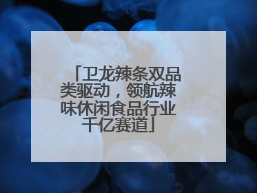 卫龙辣条双品类驱动，领航辣味休闲食品行业千亿赛道