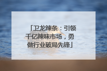 卫龙辣条：引领千亿辣味市场，勇做行业破局先锋