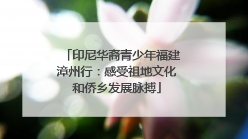 印尼华裔青少年福建漳州行：感受祖地文化和侨乡发展脉搏