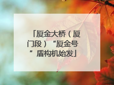 厦金大桥（厦门段）“厦金号”盾构机始发