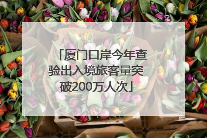 厦门口岸今年查验出入境旅客量突破200万人次