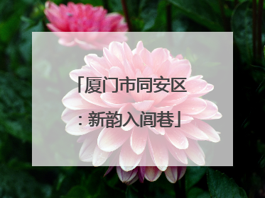 厦门市同安区：新韵入闾巷