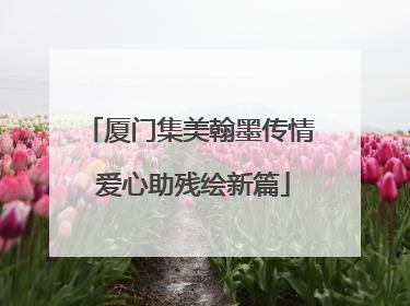 厦门集美翰墨传情 爱心助残绘新篇
