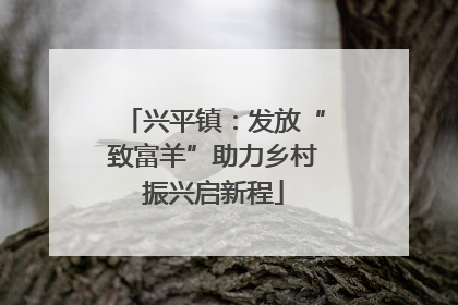 兴平镇：发放“致富羊”助力乡村振兴启新程
