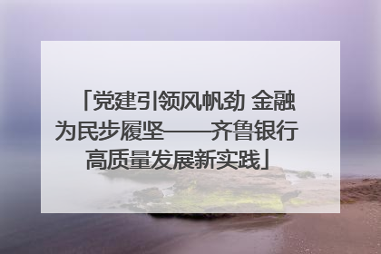 党建引领风帆劲 金融为民步履坚——齐鲁银行高质量发展新实践