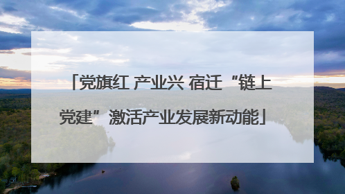 党旗红 产业兴 宿迁“链上党建”激活产业发展新动能