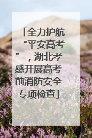全力护航“平安高考”，湖北孝感开展高考前消防安全专项检查