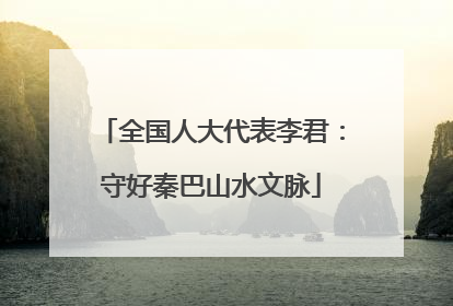 全国人大代表李君：守好秦巴山水文脉