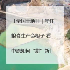 全国土地日｜守住粮食生产命根子 看中原如何“耕”新