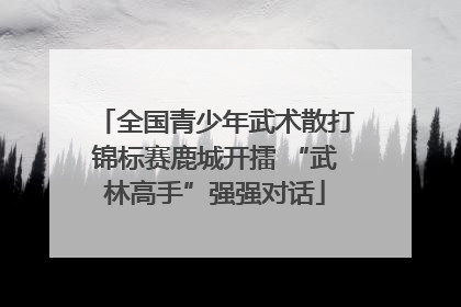 全国青少年武术散打锦标赛鹿城开擂 “武林高手”强强对话