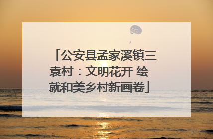 公安县孟家溪镇三袁村：文明花开 绘就和美乡村新画卷