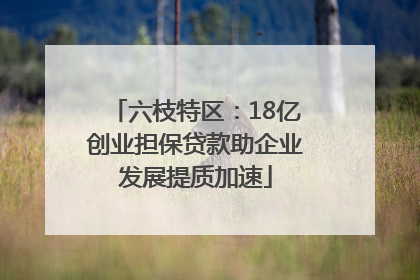 六枝特区：18亿创业担保贷款助企业发展提质加速