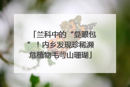 兰科中的“显眼包”！内乡发现珍稀濒危植物毛萼山珊瑚