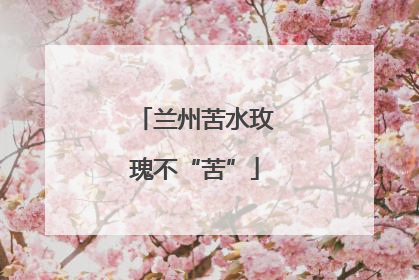 兰州苦水玫瑰不“苦”