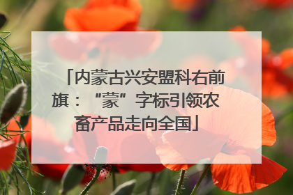 内蒙古兴安盟科右前旗：“蒙”字标引领农畜产品走向全国