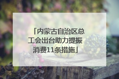 内蒙古自治区总工会出台助力提振消费11条措施