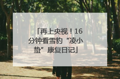 再上央视！16分钟看雪豹“凌小蛰”康复日记