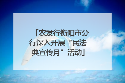 农发行衡阳市分行深入开展“民法典宣传月”活动