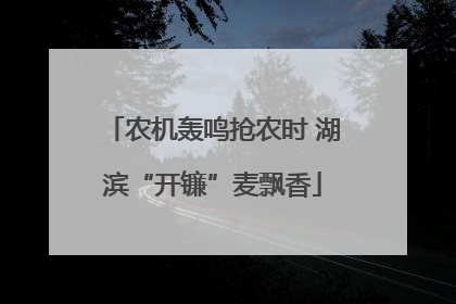 农机轰鸣抢农时 湖滨“开镰”麦飘香