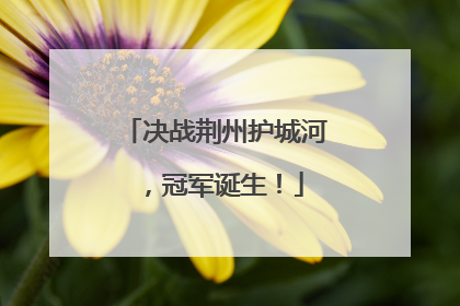 决战荆州护城河，冠军诞生！
