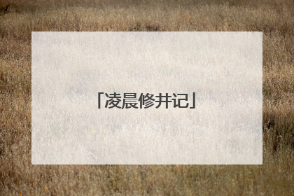 凌晨修井记