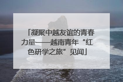 凝聚中越友谊的青春力量——越南青年“红色研学之旅”见闻