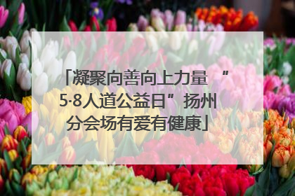 凝聚向善向上力量 “5·8人道公益日”扬州分会场有爱有健康