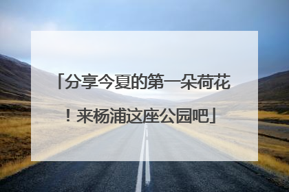 分享今夏的第一朵荷花！来杨浦这座公园吧