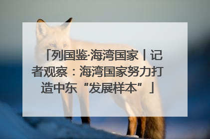 列国鉴·海湾国家丨记者观察：海湾国家努力打造中东“发展样本”