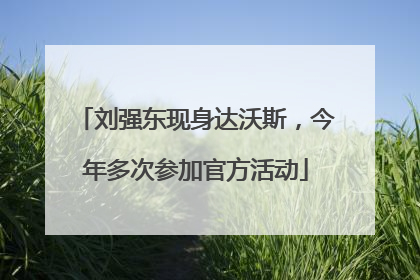 刘强东现身达沃斯，今年多次参加官方活动