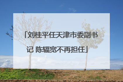 刘桂平任天津市委副书记 陈辐宽不再担任