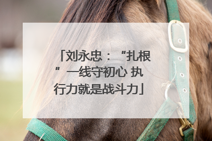 刘永忠：“扎根”一线守初心 执行力就是战斗力