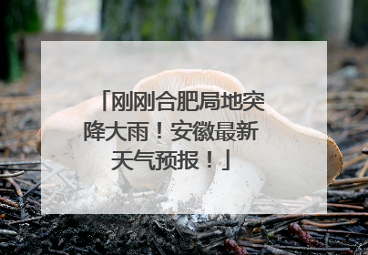 刚刚合肥局地突降大雨！安徽最新天气预报！