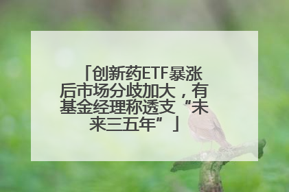 创新药ETF暴涨后市场分歧加大，有基金经理称透支“未来三五年”