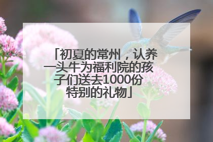初夏的常州，认养一头牛为福利院的孩子们送去1000份特别的礼物