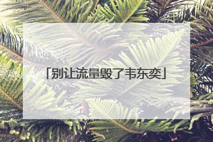 别让流量毁了韦东奕