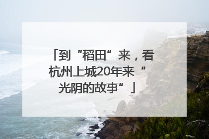 到“稻田”来，看杭州上城20年来“光阴的故事”