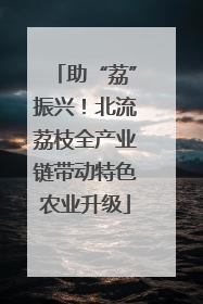 助“荔”振兴！北流荔枝全产业链带动特色农业升级